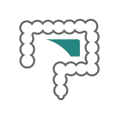 arte de um intestino