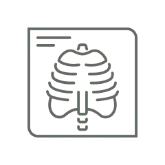 arte com um desenho de raio x de tórax